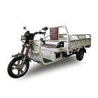 Triciclo Electrico Pick Up Bull J6 1