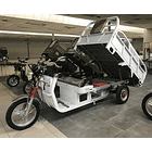 Triciclo Electrico Pick Up Bull J6 5