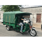 Triciclo Electrico Pick Up Bull J6 9