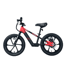 Bicicleta Electrica Niños E Fun 20 1