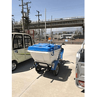 Triciclo Eléctrico Bin Bj 2