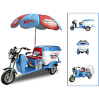 Triciclo Eléctrico Bin Bj 6