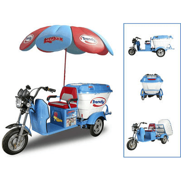 Triciclo Eléctrico Bin Bj 6