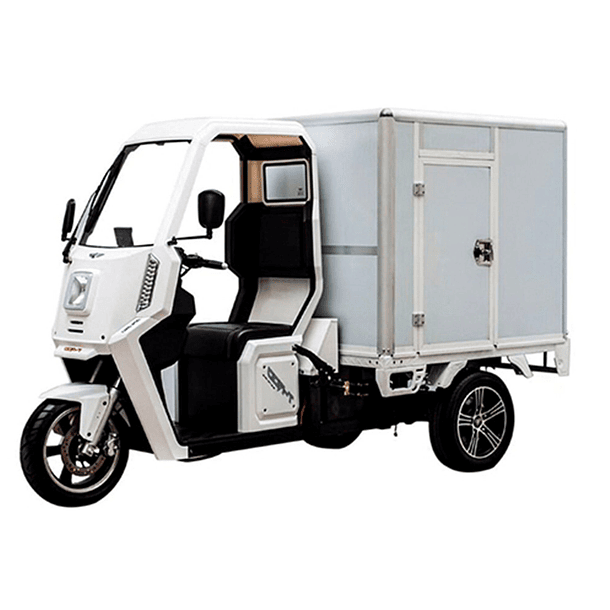 Triciclo Eléctrico Partner Van G4 Doble Pack