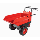Dumper ED300 6