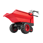 Dumper ED300 7