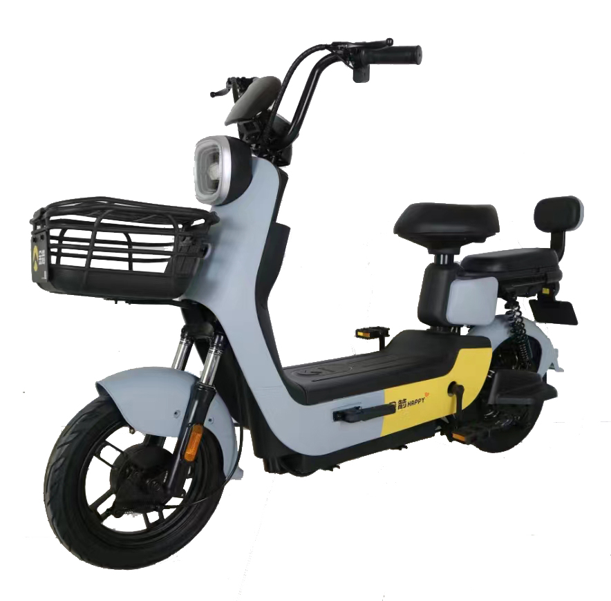 Bicicleta Eléctrica Garow G250