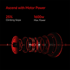 Scooter Eléctrico Todoterreno ZT3 Pro  4