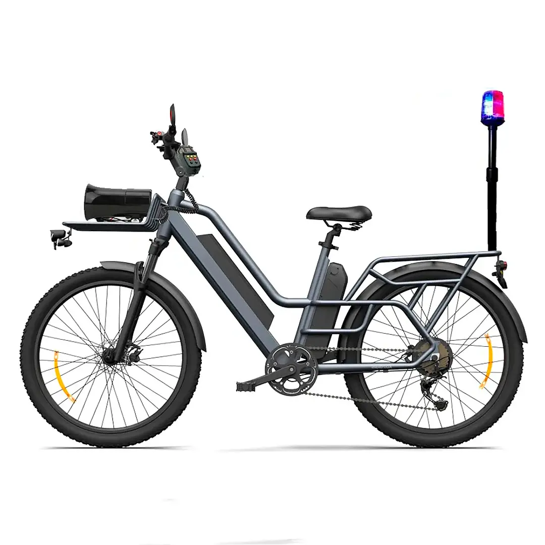 eBike Security