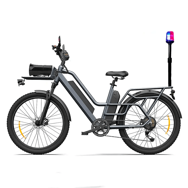 eBike Security 1