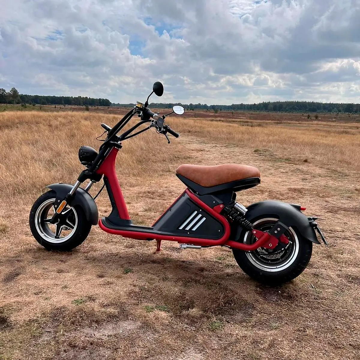 Moto Electrica Citycoco R 804 - M2 | eWay