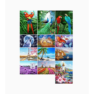 Pintura Diamante de bricolaje