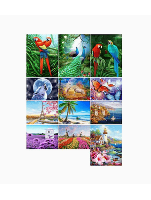 Pintura Diamante de bricolaje