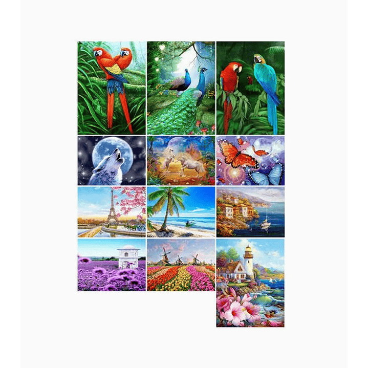 Pintura Diamante de bricolaje 1