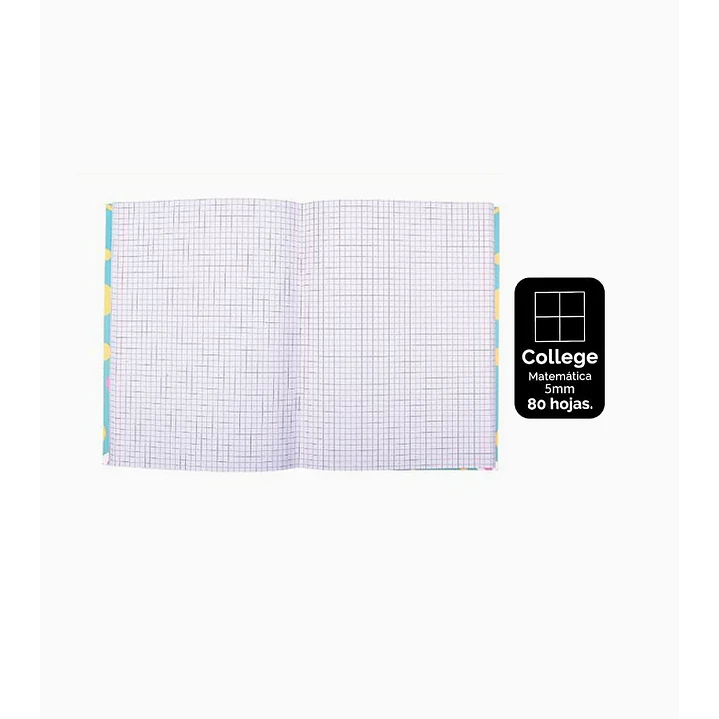 Pack 8 Cuaderno College Matemática 80 Hojas 1