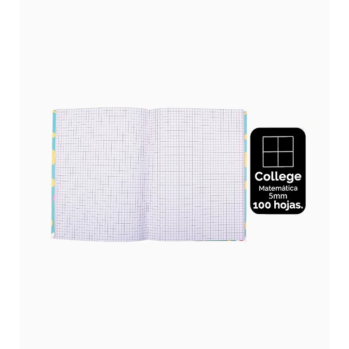 Pack 8 Cuaderno College Matemática 100 Hojas 1