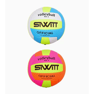 Pelota de voleibol