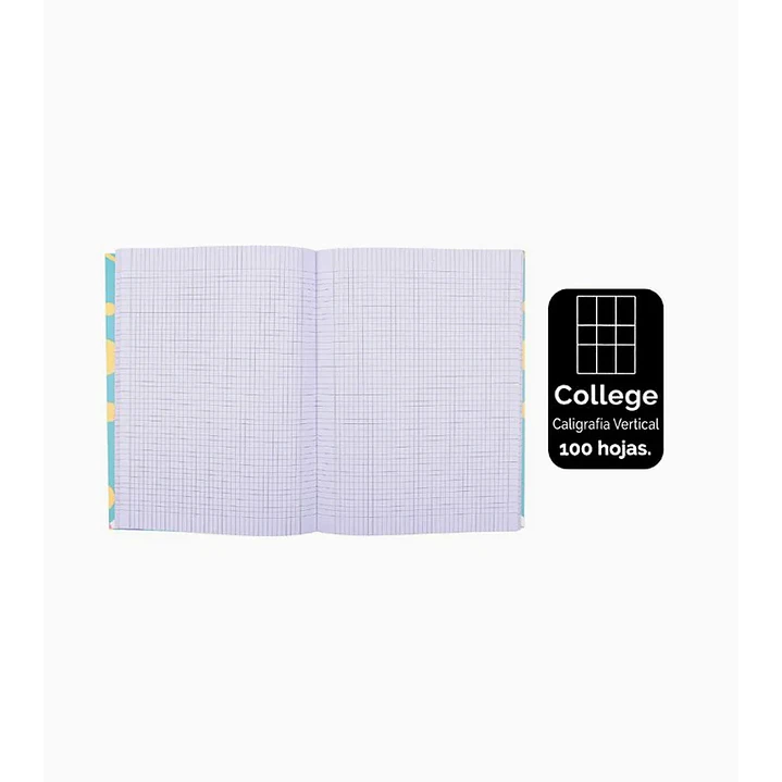 Pack 8 Cuaderno College Caligrafía Vertical 100 Hojas 1