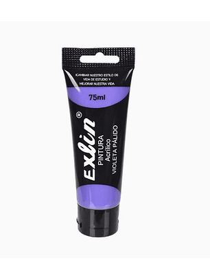 Pintura Acrílica Violeta