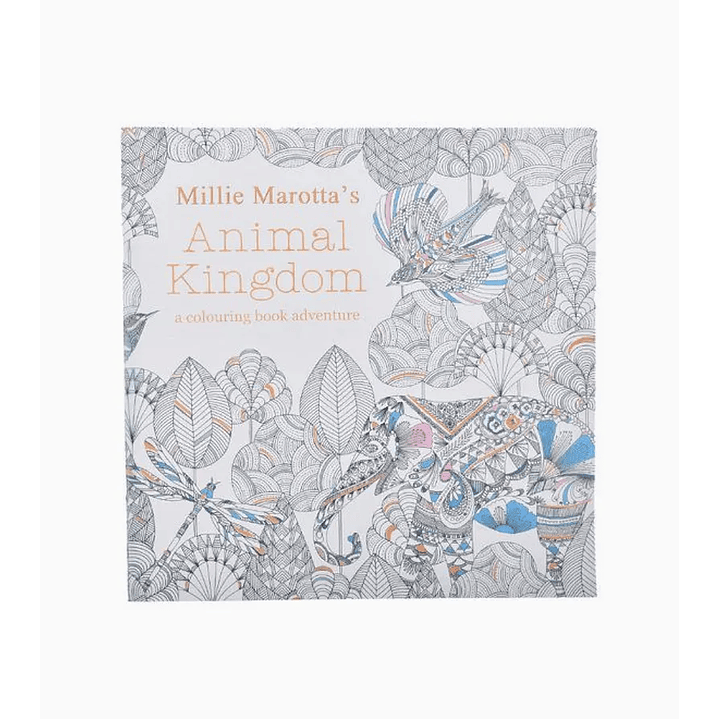 Libro Para Colorear 1