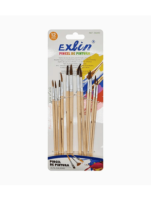 Set Pinceles de Pinturas 12 pcs
