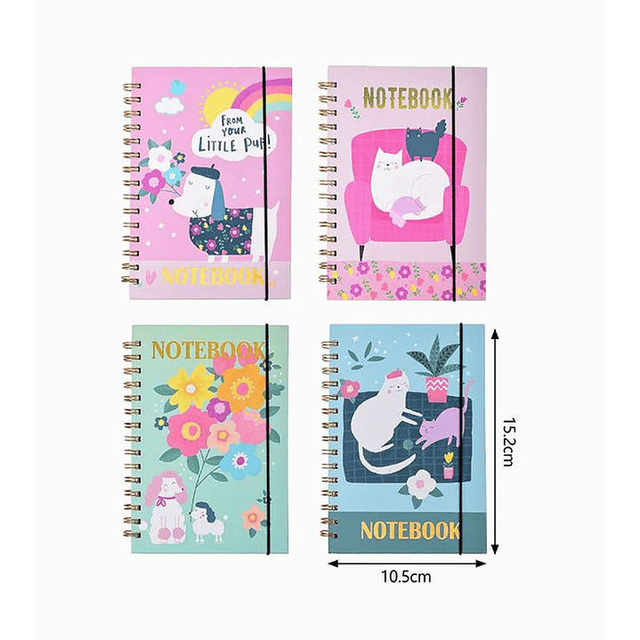 Cuaderno Línea de Bombilla 1