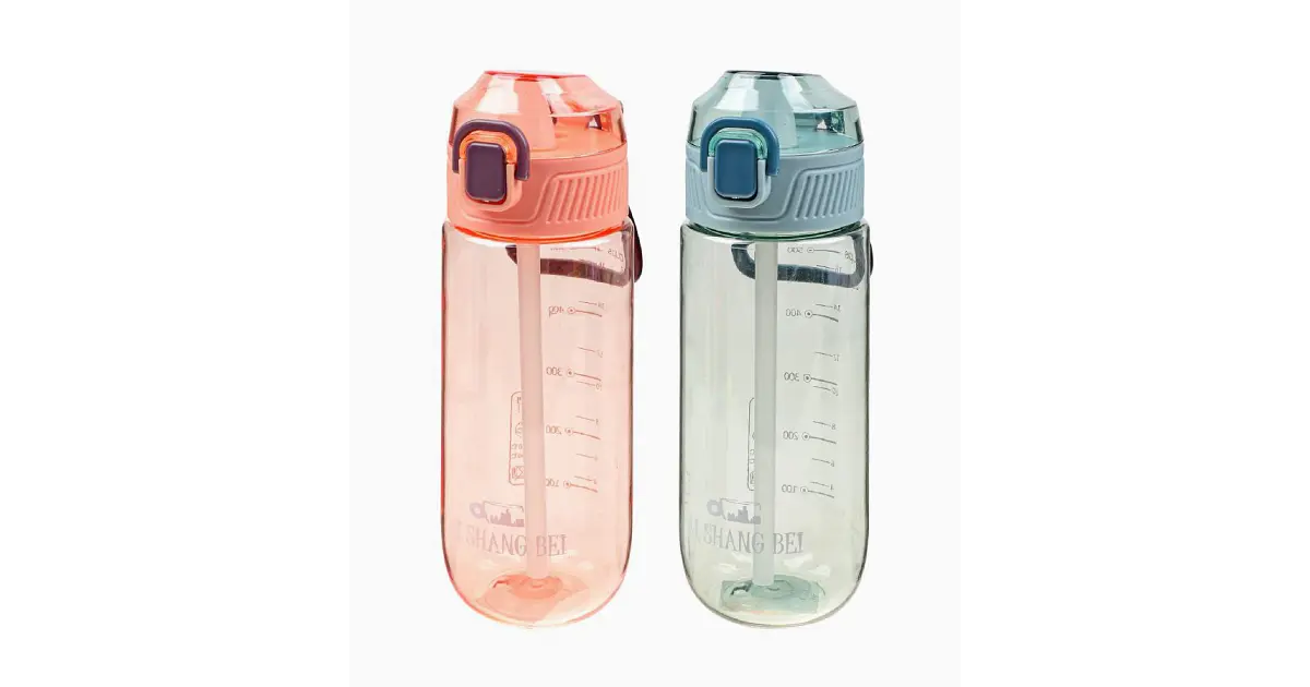 Botella de Agua con Bombilla Exlin - 550 ml
