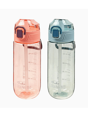 Botella de Agua con Bombilla Exlin - 550 ml