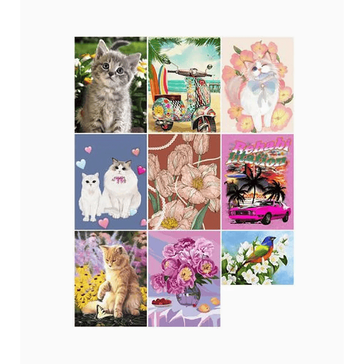 Pintura Diamante de bricolaje 1