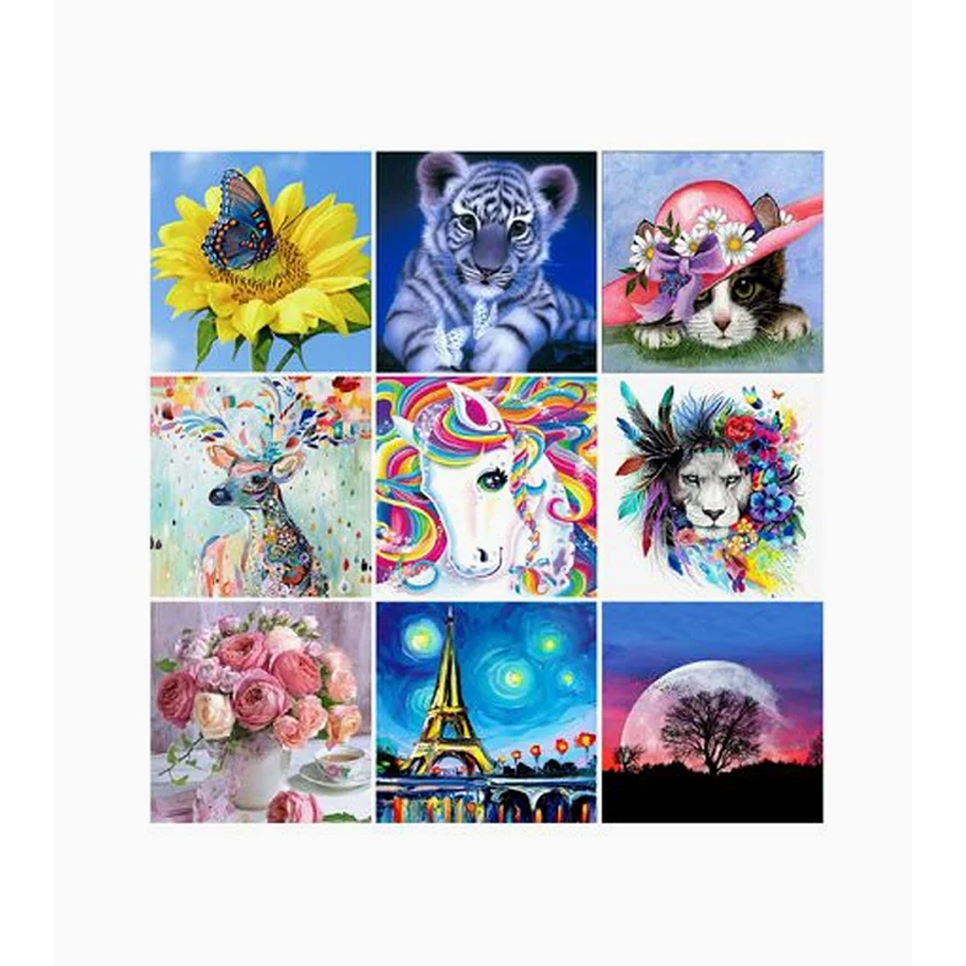 Pintura Diamante de bricolaje 1