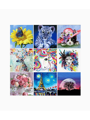 Pintura Diamante de bricolaje