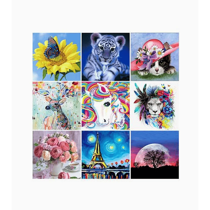 Pintura Diamante de bricolaje 1