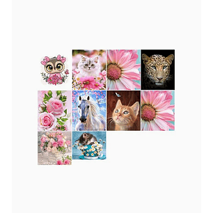 Pintura Diamante de bricolaje