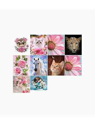 Pintura Diamante de bricolaje