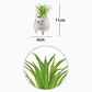 Flor artificial verde con macetero blanco y piedras decorativas 7,5 x 9,5 cm - Miniatura 2