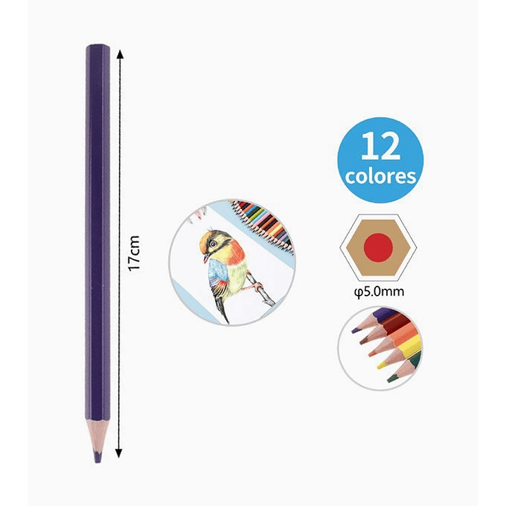 Set de Lápices de Colores Jumbo 12 Unidades + Sacapuntas 2