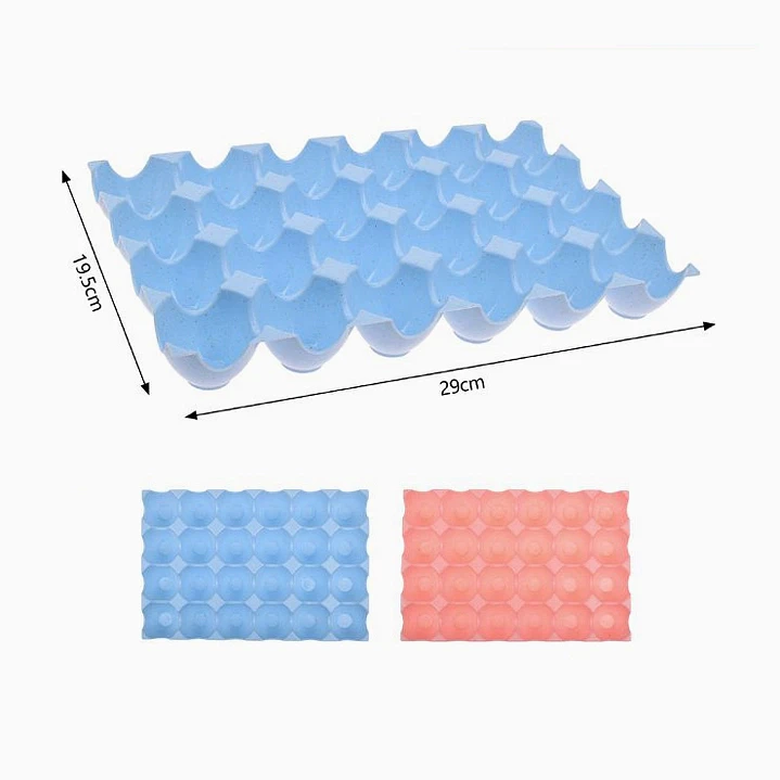 Caja de huevos plástica – 24 compartimentos 2
