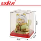 Gato de la Fortuna Maneki Neko con Sombrero de León 10cm  - Miniatura 2