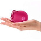  SUCCIONADOR ROSE MINI  2