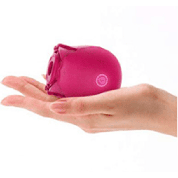  SUCCIONADOR ROSE MINI  2