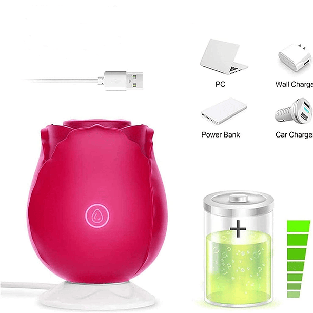  SUCCIONADOR ROSE MINI  4