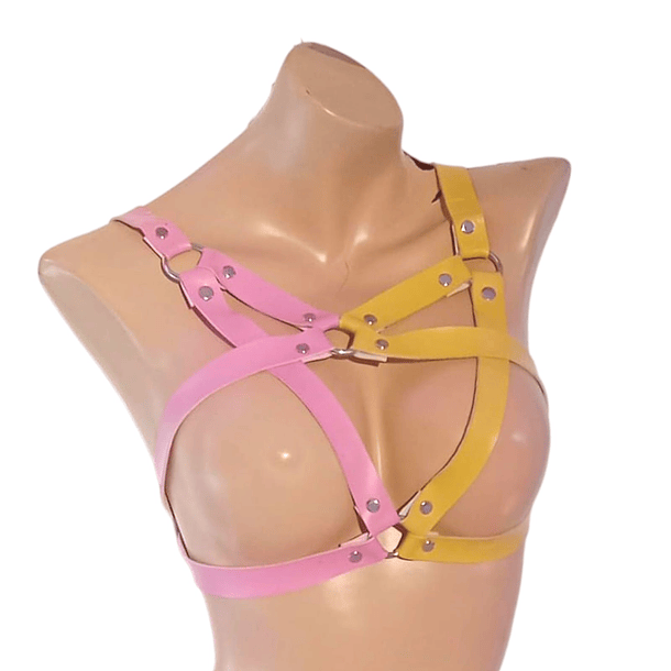 ARNES DE PECHO MARIA