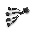 AMARRE DE CAMA REY 2