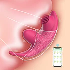 PANTY VIBRADOR CON APP LUNA 6