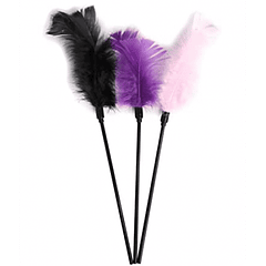PLUMA ERÓTICA