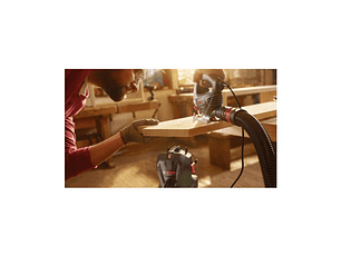 Aspirador universal Advanced Vac 20 BOSCH DIY