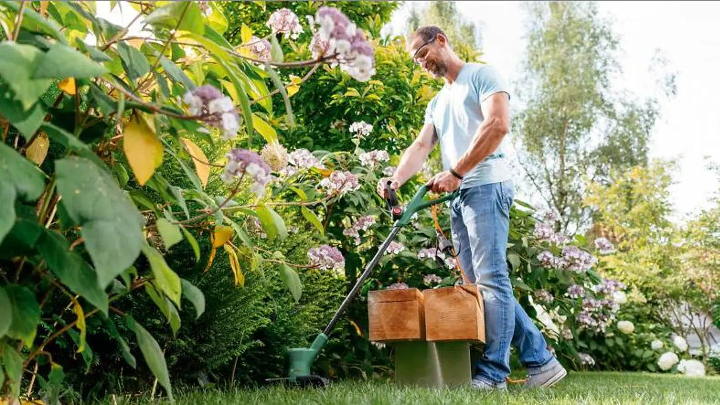 Aparador de Relva EasyGrassCut 23 BOSCH 5