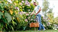 Aparador de Relva EasyGrassCut 23 BOSCH - vignette 5