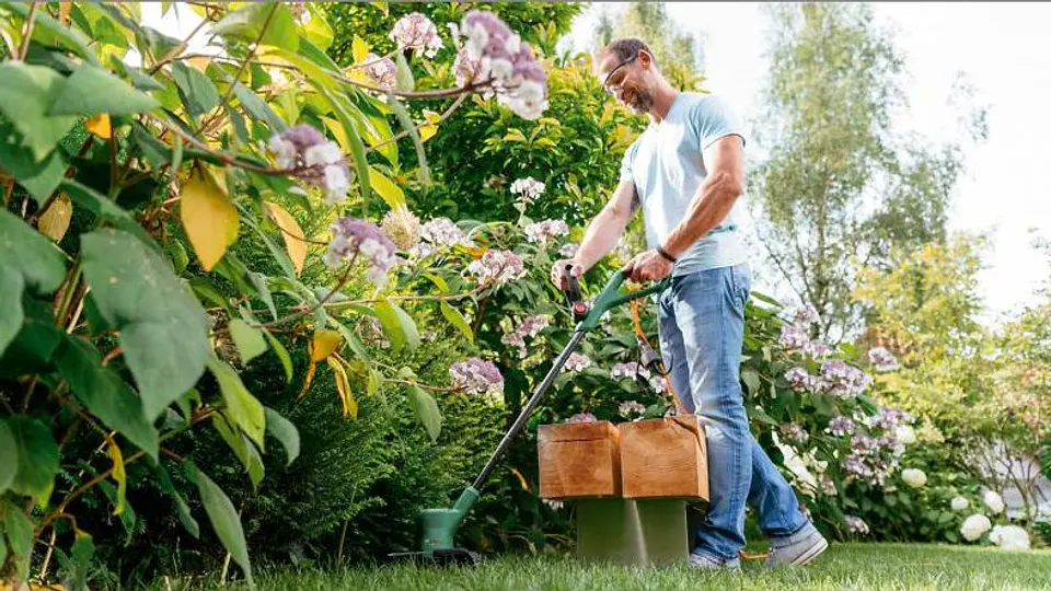Aparador de Relva EasyGrassCut 23 BOSCH 5