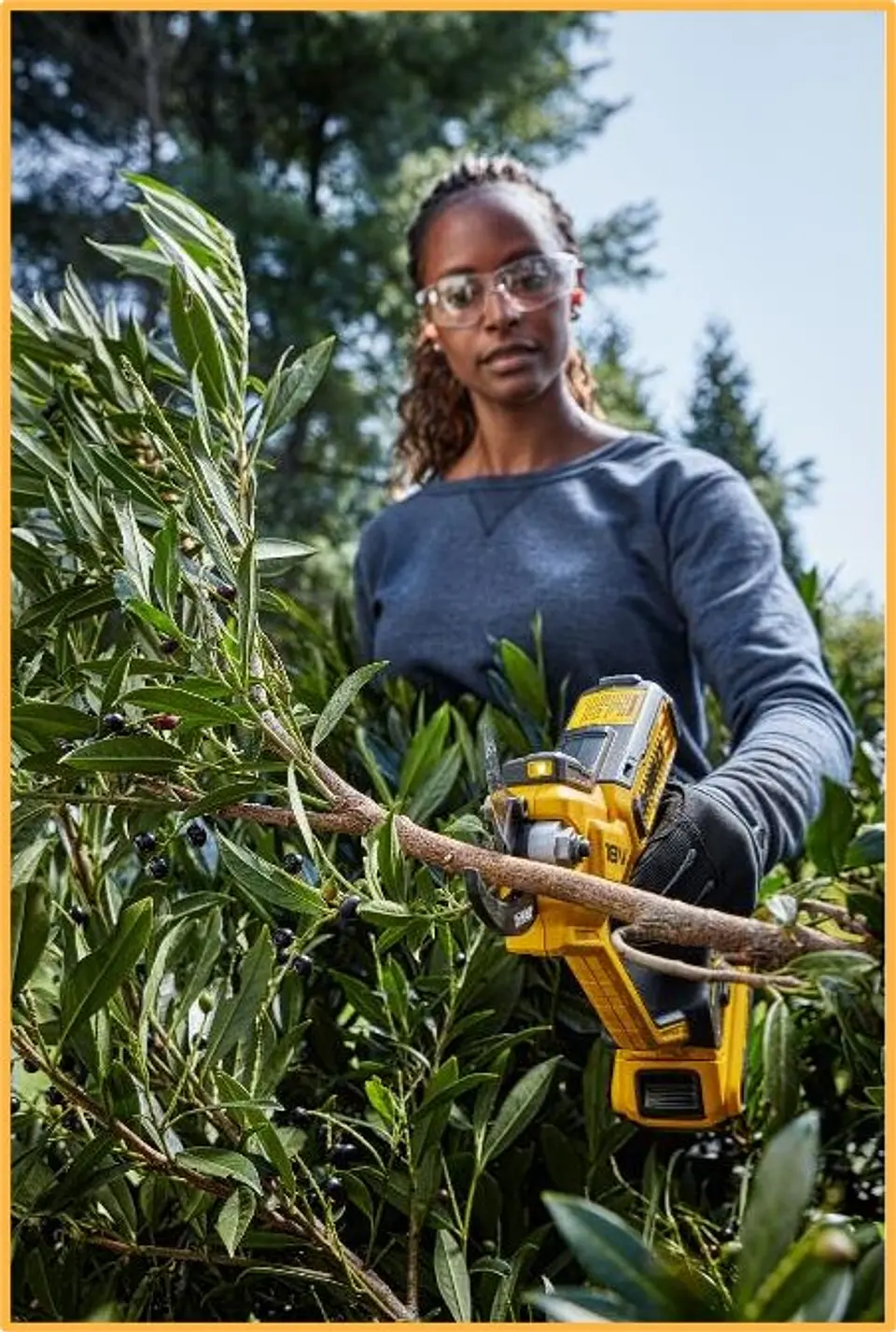 Podadora Sem fio XR18V DCMPP568P1 DEWALT 3